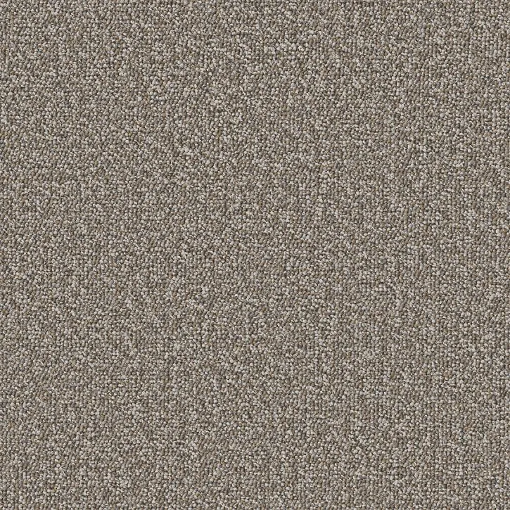 Swatch of Lincoln carpet color 